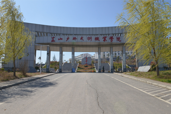 嵩山少林武術職業學院